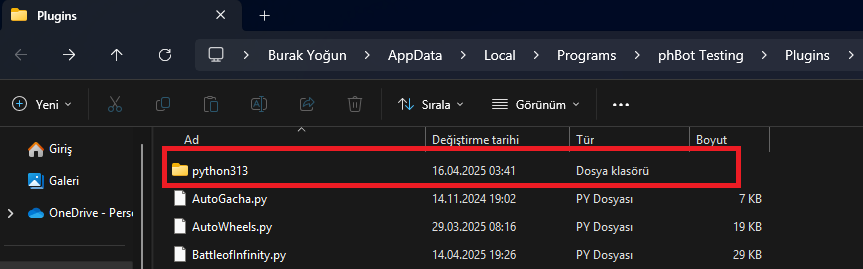 python313.png