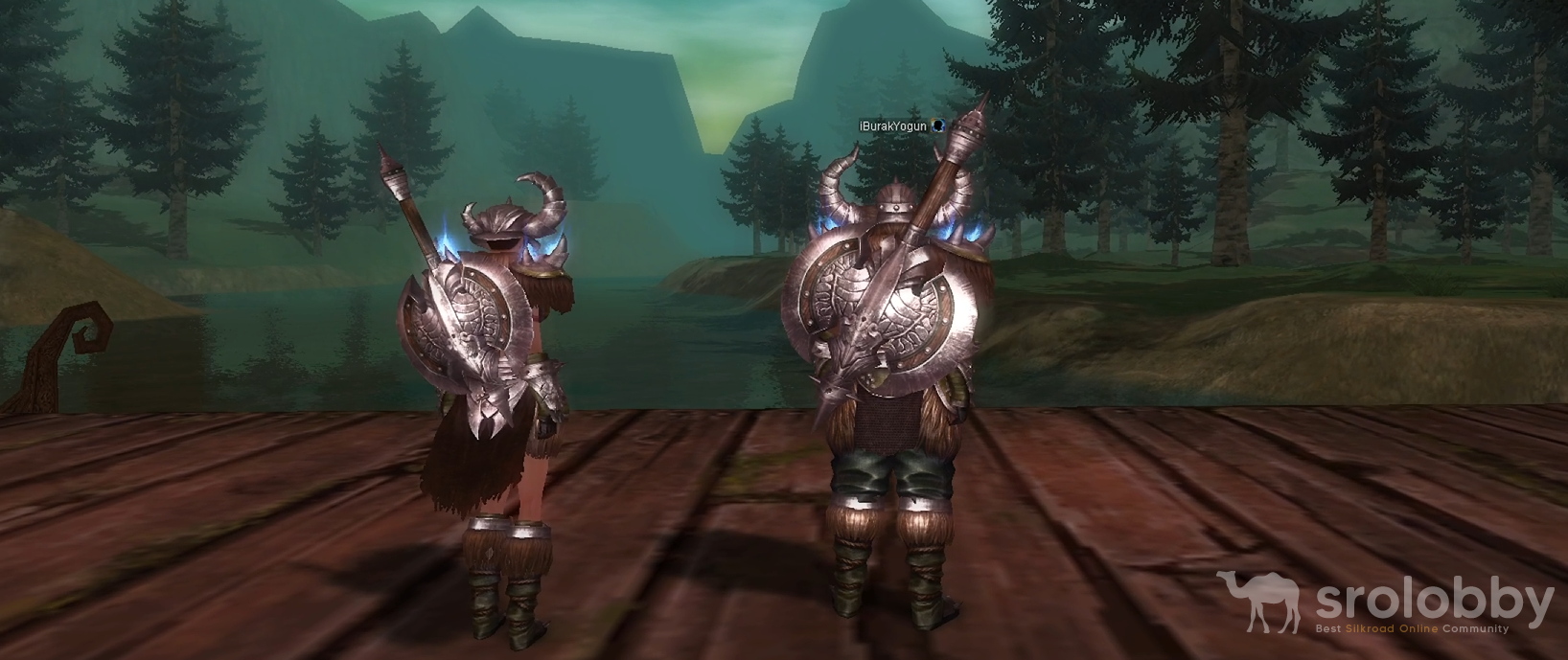 vikingarmor1.png