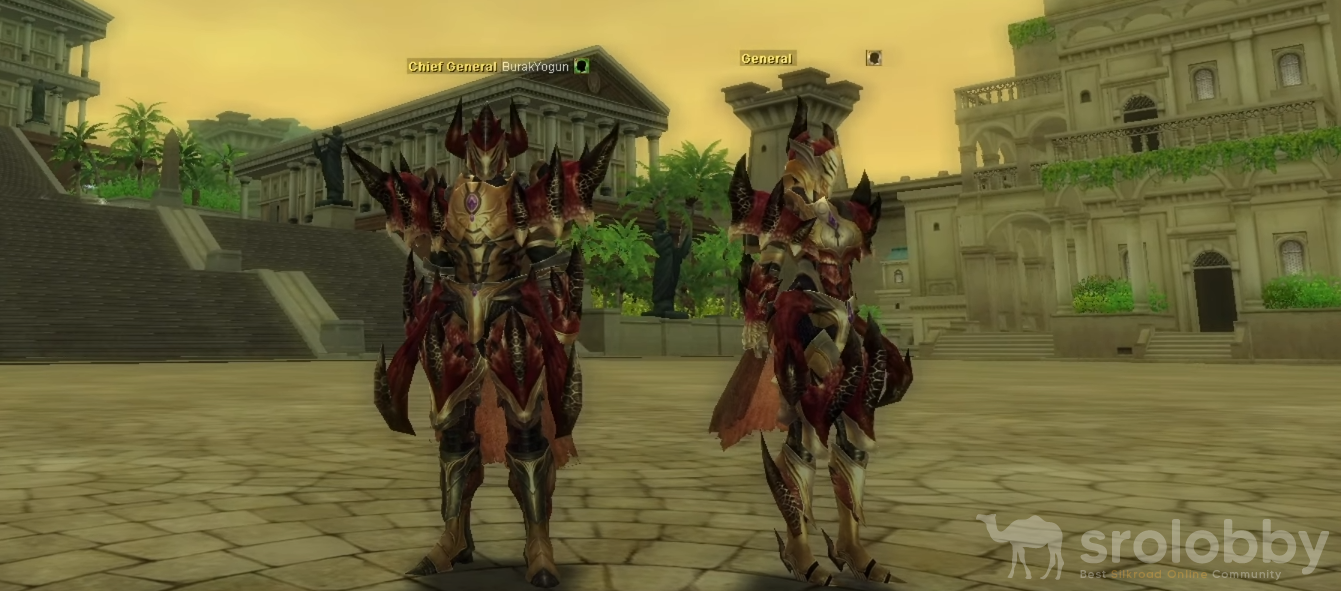 11dgarmorset.png