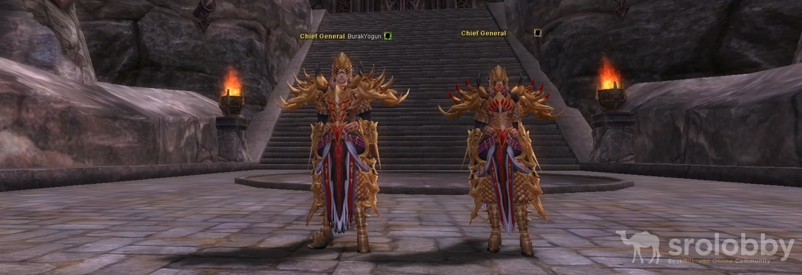 15dgarmorset.png