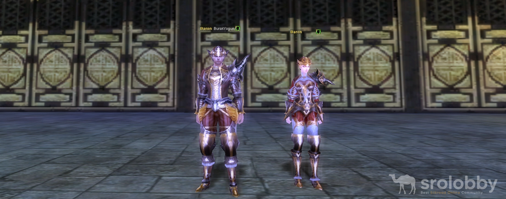 10dglightarmorset.png