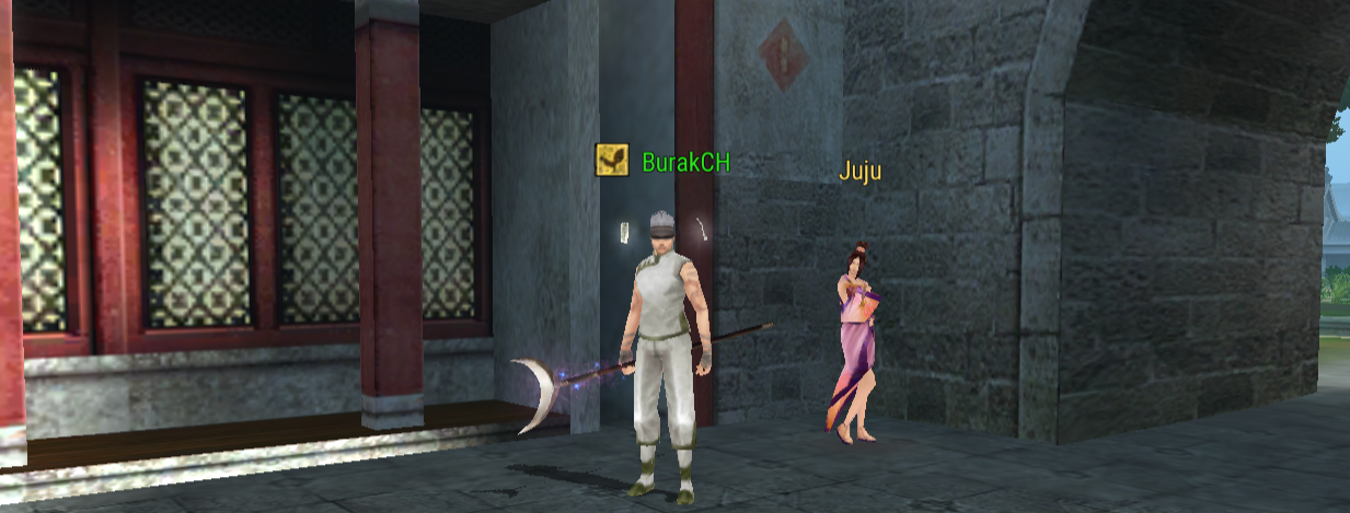31.png