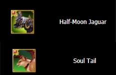 pet2intfellow.png